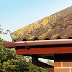 Roof Pointing
